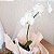 ARRANJO DE ORQUÍDEA BRANCA NO VASO DE FIBRA DE BAMBU - Imagem 4