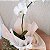 ARRANJO DE ORQUÍDEA BRANCA NO VASO DE FIBRA DE BAMBU - Imagem 2