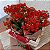 KIT CESTA DE FLORES KALANCHOE VERMELHA - Imagem 2