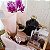 CESTA PURPLE - Imagem 1