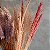 ARRANJO DE FLORES DESIDRATADAS PURPLE AND PINK - Imagem 3