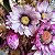 ARRANJO DE FLORES DESIDRATADAS MINI SONHO ROSA - Imagem 4