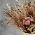 ARRANJO DE FLORES DESIDRATADAS PLENITUDE - Imagem 3
