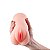 Masturbador Masculino em Cyberskin - Formato Vagina 5 - Maig - 6762 - Imagem 4