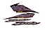 KIT DE FAIXAS NXR 125 VERM 2004 ES k - Imagem 1