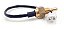 SENSOR DE TEMPERATURA MOTTU SPORT TVS 110 2023/24 - Imagem 1