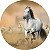 Painel de Festa em Tecido - Cavalo Branco Galopando Na Fazenda - Imagem 1