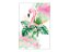 Painel De Festa Vertical 1,50 x 2,20 -  Flamingo Aquarela Rosa 007 - Imagem 1