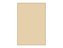 Painel De Festa Vertical 1,50 x 2,20 - Cores Neutras Bege Liso 085 - Imagem 1