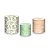 Trio De Capas De Cilindro - Safari Laranja e Verde Aquarela 020 - Imagem 1