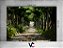Fundo Fotográfico 2,20 x 1,50 - Corredor Árvores Folhagens 003 - Imagem 2
