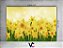 Fundo Fotográfico 2,20 x 1,50 - Flores Narcisos Amarelos 024 - Imagem 2