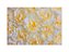 Fundo Fotográfico 2,20 x 1,50 - Flores Amarelo Claro 060 - Imagem 1
