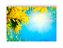 Fundo Fotográfico 2,20 x 1,50 - New Born Céu E  Flores Amarelas 100 - Imagem 1