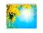 Fundo Fotográfico 1,55 x 1,20 - New Born Céu E  Flores Amarelas 101 - Imagem 1