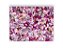 Fundo Fotográfico 1,55 x 1,20 -  Flores Lilás e Roxo 104 - Imagem 1