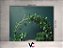 Fundo Fotográfico 1,55 x 1,20 - New Born Galhos e Folhagens Verde 143 - Imagem 2