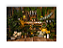 Fundo Fotográfico 2,20 x 1,50 - New Born Cenário Floricultura Neutra 149 - Imagem 1