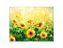 Fundo Fotográfico 1,55 x 1,20 - New Born Campo De Flores Girassóis 158 - Imagem 1