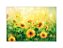 Fundo Fotográfico 2,20 x 1,50 - New Born Campo De Flores Girassóis 159 - Imagem 1