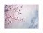 Fundo Fotográfico 2,20 x 1,50 - Flores de Cerejeiras Brancas 174 - Imagem 1