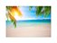 Fundo Fotográfico 2,20 x 1,50 - Praia com Coqueiro 001 - Imagem 1