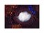 Fundo Fotográfico 2,20 x 1,50 - Ensaio New Born Ninho 001 - Imagem 1
