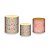Trio De Capas De Cilindro - Escamas Rosa e Verde Efeito Glitter Dourado 015 - Imagem 1