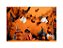 Fundo Fotográfico 2,20 x 1,50 - Halloween Laranja e Preto 079 - Imagem 1