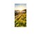 Painel De Festa Vertical 1,00 x 2,00 - Profissão Agronomia Paisagem 020 - Imagem 1