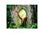 Fundo Fotográfico 1,55 x 1,20 - Dinossauro na Floresta Arco de Pedra 008 - Imagem 1