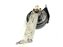 Buzina Caracol Peugeot 207 2010 9646829780 Original C168 - Imagem 4
