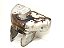 Defletor De Calor Escapamento Peugeot 206 9651212880 C219 - Imagem 5