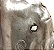 Protetor Calor Coletor Fiat Strada Palio Idea 55204102 C96 - Imagem 9