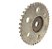 Polia Engrenagem Cabeçote Ford Fusion 2.3 2006 Á 2009 C313 - Imagem 3