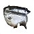 Defletor Calor Coletor Escape Renault Sandero Logan 1.6 8v - Imagem 4