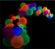 Balão Neon Nº9 Pacote c/ 25 Unidades - Art Latex - Imagem 2