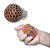Bola Squishy Brinquedo Anti-stress - Imagem 6