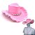 Chapéu Boiadeira Luxo Cowboy Rosa c/ Plumas - Imagem 3
