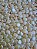 Pérola de ABS Concha Marfim 11mm (10gr - Aprox. 37un) - Imagem 1