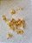 Pino de Brinco Para Colagem Ouro (10 pares) - Imagem 6