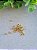Bolinha ABS 3mm Ouro (10g) - Imagem 1