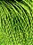 Fio Marroquino Verde com Dourado 3mm (mt) - Imagem 1