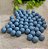Bola Resina 10mm Azul Bebê (20gr - Aproximadamente 40un) - Imagem 1
