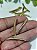 Tubo Metal Ouro 27x3mm (UN) - Imagem 2