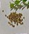 Entremeio Tubo Metal Liso 3x3 Ouro  (10un) - Imagem 1