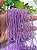 Cristal Roxo Translúcido 4mm (1 fio-120un) - Imagem 2