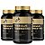 Compre 3 Pague 2 - Tribulus Terrestris 500mg 60 Cápsulas (40% saponinas) - Imagem 1