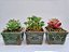 Kit com 3 Mini Arranjos Suculenta Artificial no Vaso Vietnamita - Imagem 1
