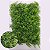 43730001F.GRAMA PLACA PLASTICOX468 (VERDE) 40X60cm AMAZONIA COM TELA DE METAL RÍGIDA - Imagem 1